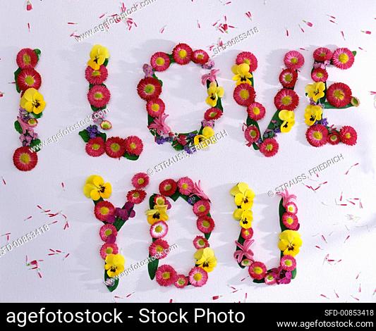 The words 'I love you' in spring flowers