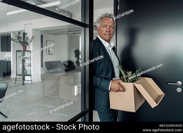 Businessman holding box of botany plant while leaning on glass wall at office