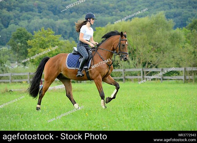 Teenage girl riding a Mecklenburger horse on a paddock