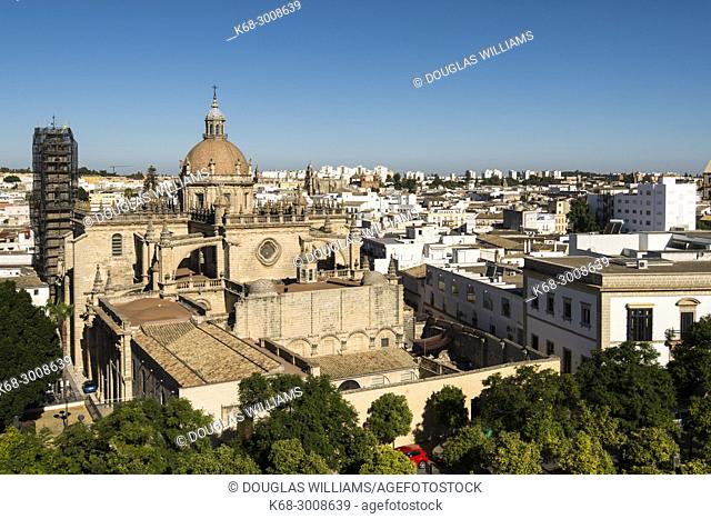 The cathedral in Jerez de la Frontera, Cadiz province, Andalucia, Spain