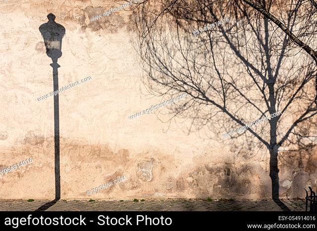 Graphical and textured artisic image of old textured retro wall with vintage street lamp and tree shadow falling on the wall. Urban street background