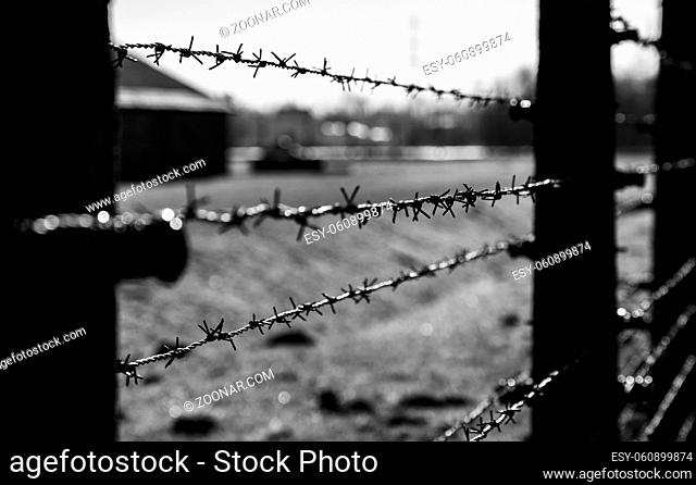 A black and white picture of the fences on the grounds of Auschwitz II - Birkenau