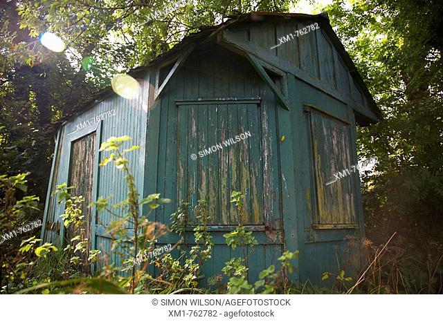 Old painted shed in the woods