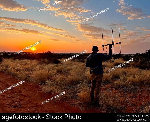 PRODUCTION - 27 July 2023, South Africa, Kuruman: Researcher Daniel Rossouw stands in the tall veld grass of the Kalahari semi-desert in South Africa