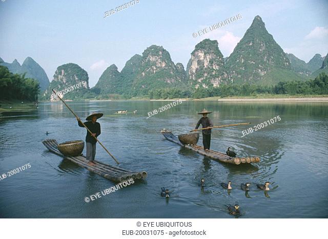 Cormorant fishermen on narrow rafts with birds swimming ahead