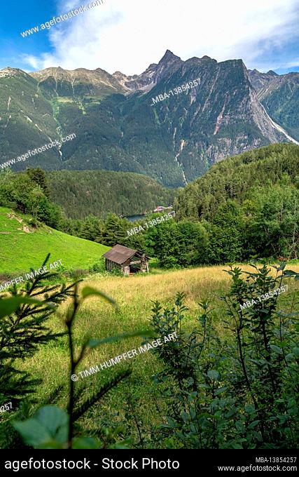 Europe, Austria, Tyrol, Ötztal Alps, Ötztal, view over a mountain meadow on the Piburger See with the Acherkogel in the background