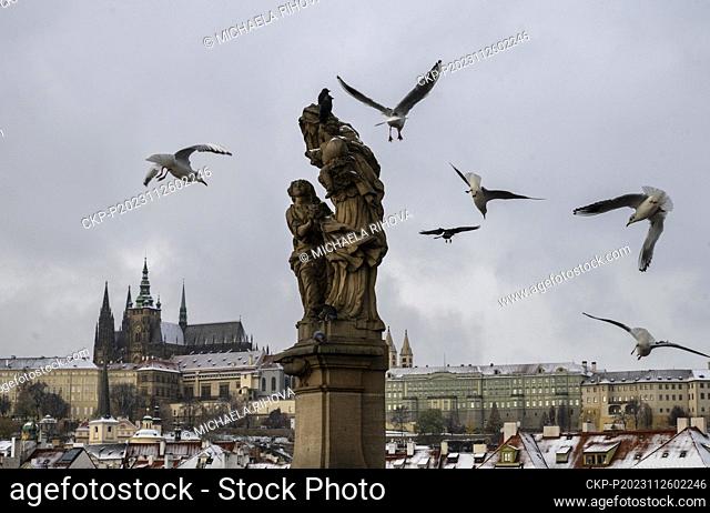 Seagulls fly around the statue of St. Anne on Charles Bridge in Prague, Czech Republic, on November 26, 2023. On the background is seen the Prague Castle with...