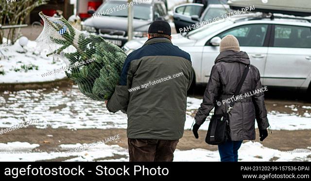 02 December 2023, Lower Saxony, Reppenstedt: Two customers walk to the car with their own Christmas tree. Most vendors start selling Christmas trees with the...
