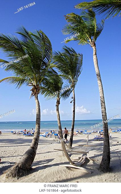 People and palm trees at the beach under blue sky, Isla Verde, Puerto Rico, Carribean, America