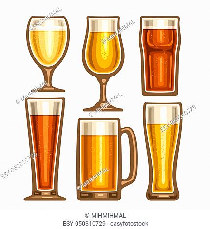 Vector set of different Beer glassware, 6 full glass cups with yellow and brown fizzy beverages various shape, collection icons of alcohol drinks lager and...