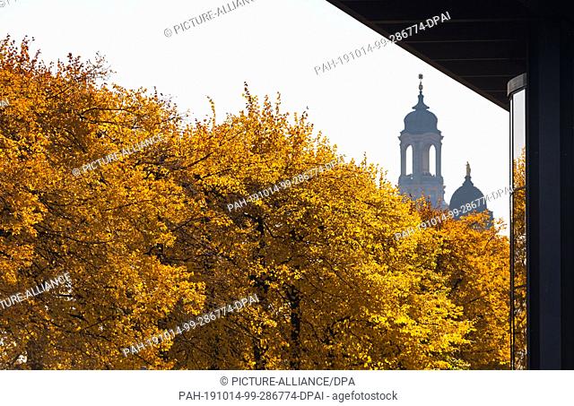 14 October 2019, Saxony, Dresden: The leaves of the trees of an avenue beside the Saxon state parliament, in front of the Frauenkirche (l) and the Ständehaus...