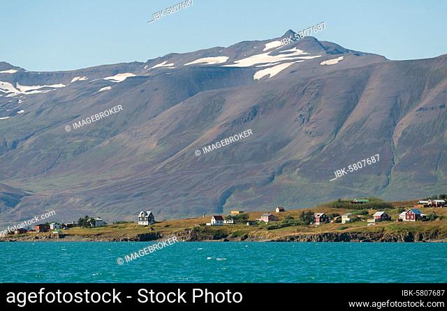 Häsuer on the island of Hrísey, Eyjafjörður, Iceland, Europe