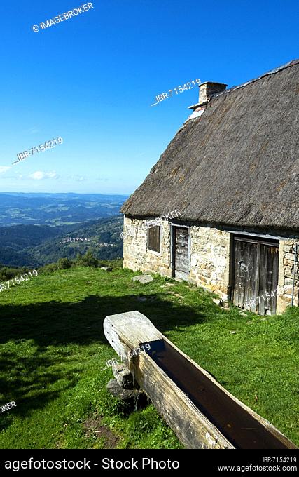 Farm (Jasserie), summer pasture specific to the Forez mountains at col of Supeyres, Livradois-Forez regional natural park, Puy de dome department