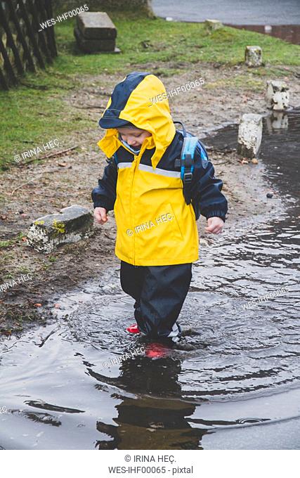Little boy in a rainsuit exploring a puddle, Sylt, Germany