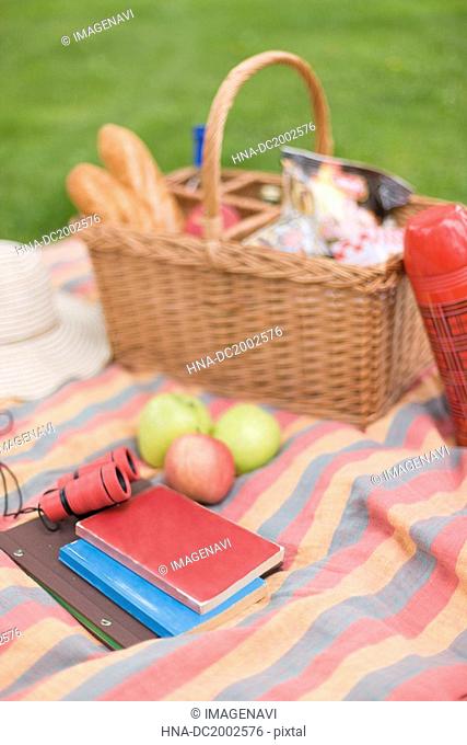 Picnicking