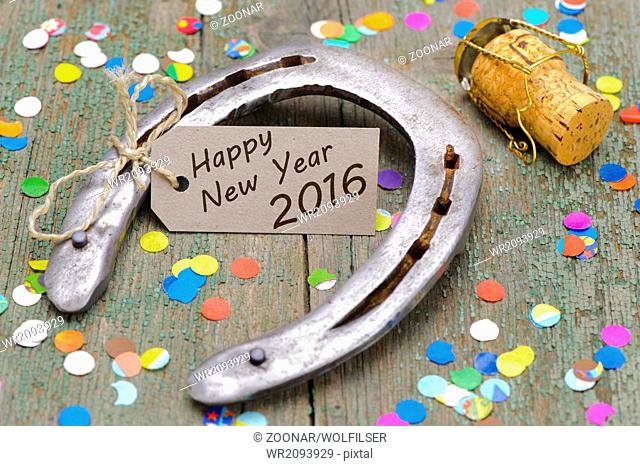 horse shoe as talisman for new year 2016