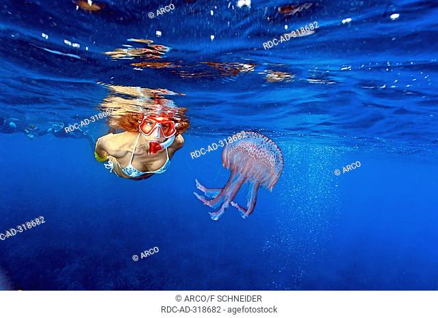 Snorkeler with Jellyfish / Pelagia noctiluca