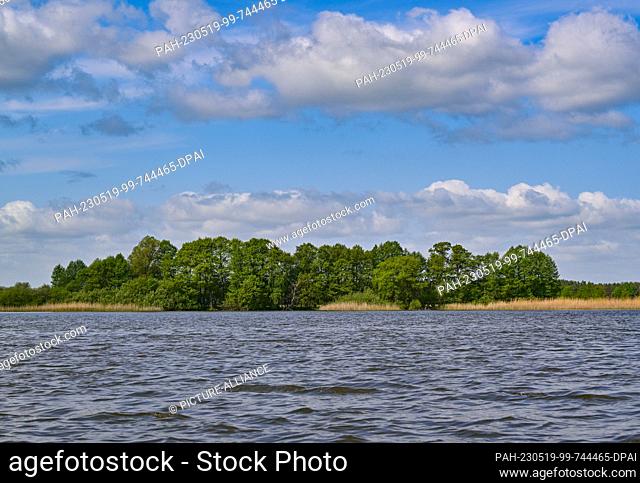 17 May 2023, Brandenburg, Groß Schauen: The area of Sielmann's natural landscape Groß Schauener Seen. The white-grey black-capped Common Terns are back from...