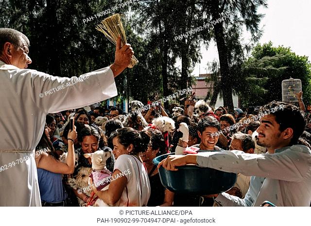 31 August 2019, Mexico, Oaxaca: A priest blesses with holy water the animals, which are held up by humans with the hands