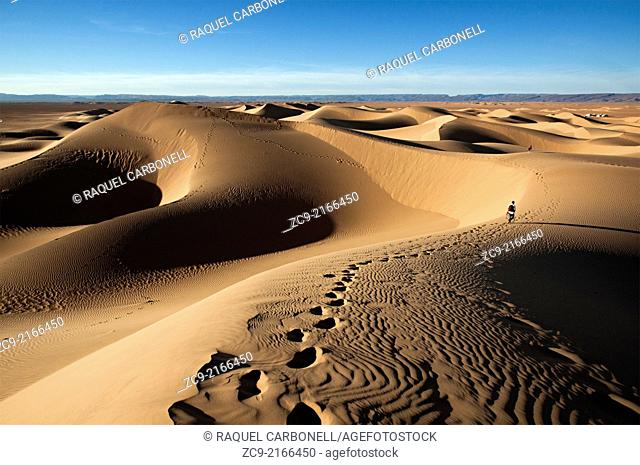 Man and dog walking away on Sahara desert sand dunes, Erg Lihoudi, M'Hamid, Draa Valley, Morocco