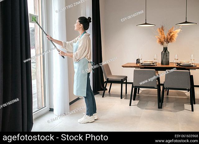Cleaning. Young dark-haired woman cleaning the window