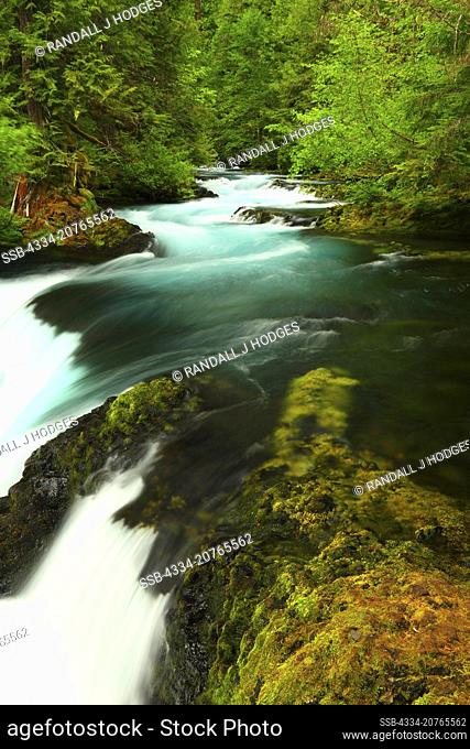 The McKenzie River From the Mckenzie River National Scenic Trail in the Willamette National Forest in Oregon