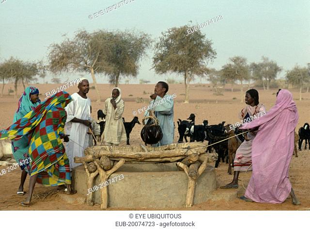 Men and women with goat herd drawing water from well