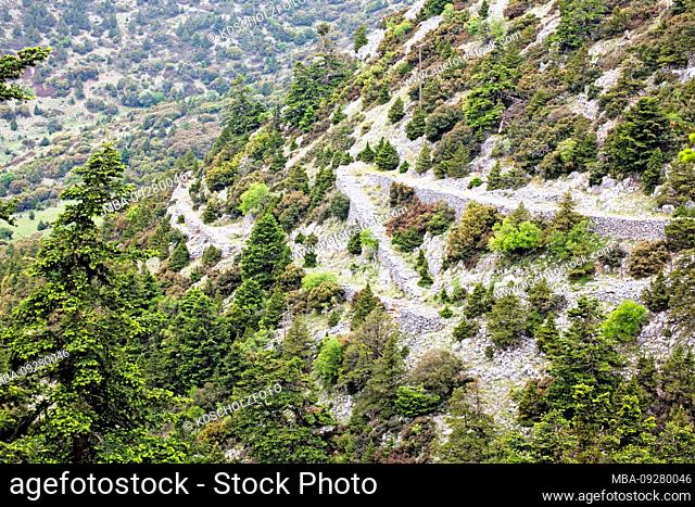 Mountain path in the Parnon Mountains in the Peloponnese, Arcadia, Greece