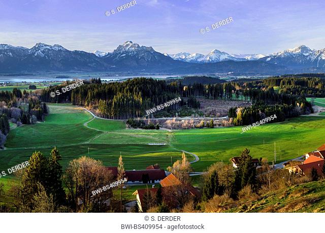 view from Zwieselberg to Forggensee lake and Tannheim Mountains, Germany, Bavaria, Oberbayern, Upper Bavaria, Allgaeu