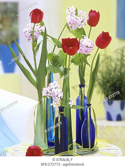 Tulips and dame's violet in various bottles