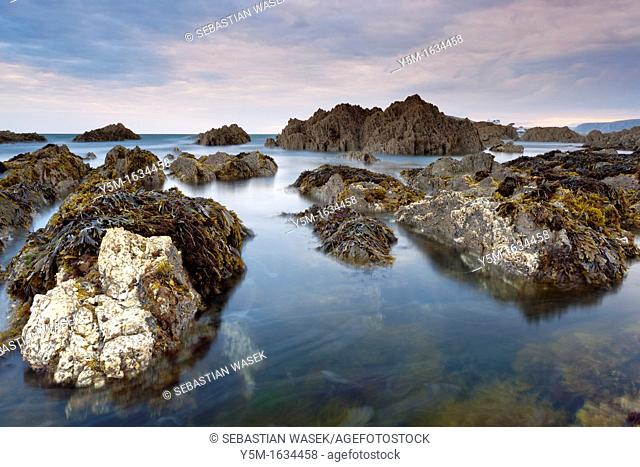 Rocky shores of Bantham at Dusk, Bantham, South Devon, England, United Kingdom, Europe