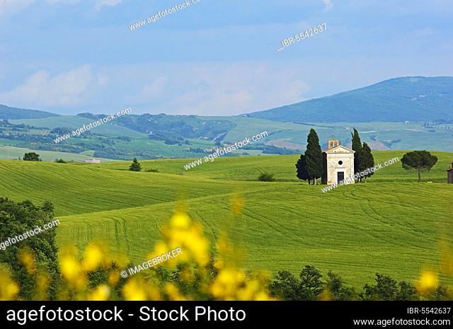 Val d'Orcia, Orcia Valley, UNESCO World Heritage Site, Cappella di Vitaleta, Vitaleta Chapel, Pienza, Siena Province, Tuscany, Italy, Europe