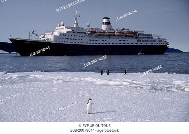 Cape Royds. Tourist ship called Marco Polo on water with Adelie Penguins on the ice in the foreground