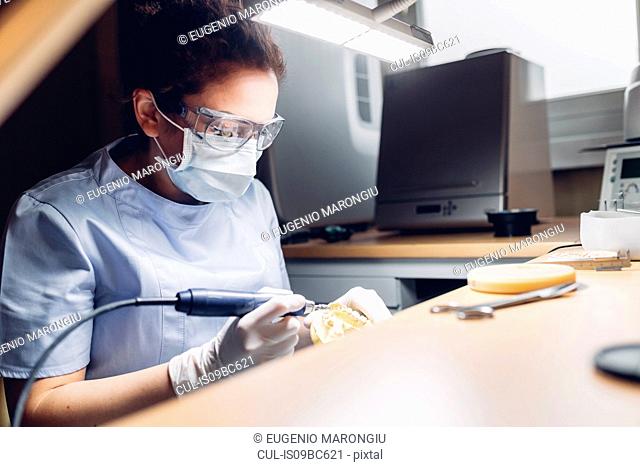 Dentist making denture in laboratory