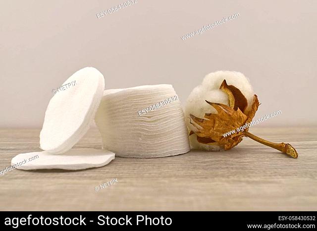 Natural cotton stem boll and stack of makeup remover facial cotton pads. Organic production concept