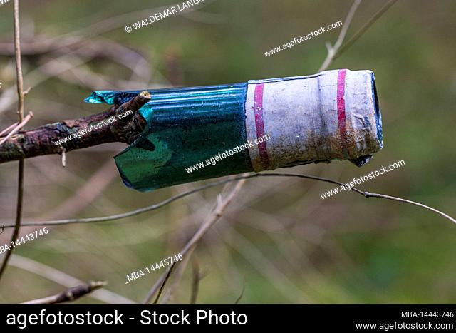 The neck of a broken bottle hangs on a tree in the forest