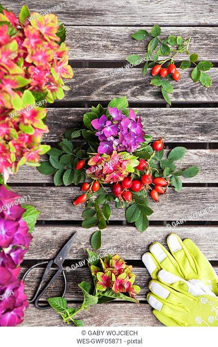 Hydrangeas and rosehips, gardening gloves and scissors on garden table