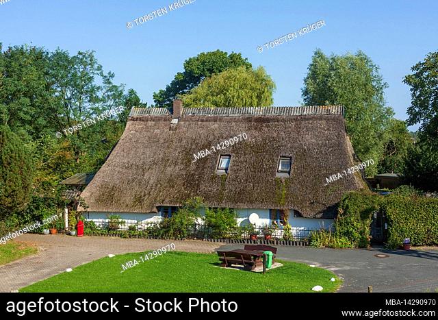 House, Elsfleth, Wesermarsch County, Lower Saxony, Germany, Europe