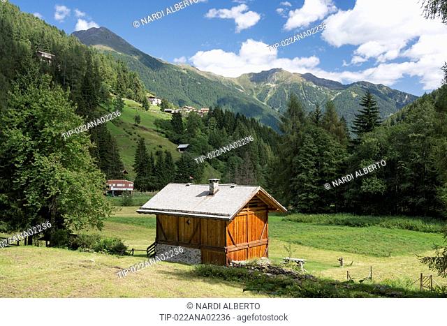 Italy, Trentino, the Alps, Stelvio national Park, Rabbi Valley, masi