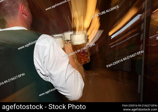 16 September 2023, Bavaria, Munich: A waitress serves beer in a festival tent. The 188th Wiesn will take place this year from 16.09.-03.10.2023