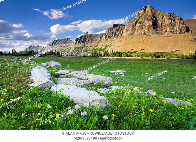 Alpine meadows at Logan Pass with the Garden Wall and Bishop's Cap in the distance, Glacier National Park Montana USA