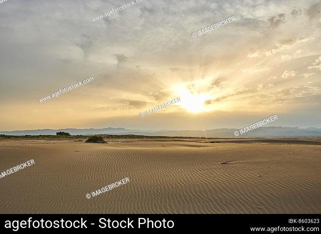 Beach ""Platja del Fangar"", sand dunes, Vegetation, nature reserve, ebro delta, Catalonia, Spain, Europe