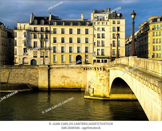 Puente sobre el rio Sena en Paris. Francia. Europa