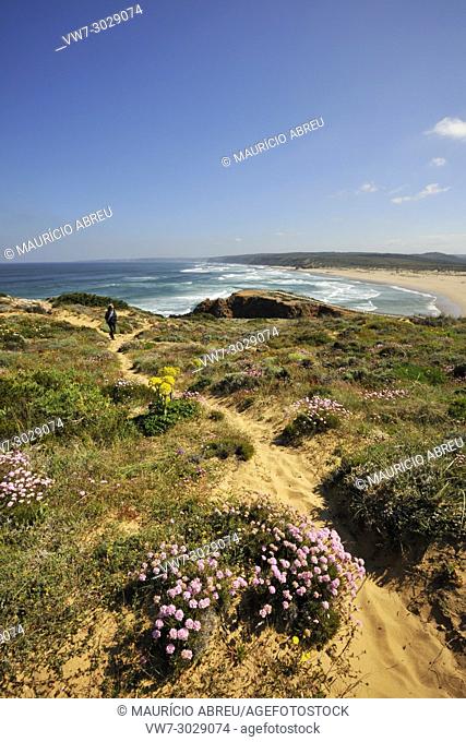 Spring in Carrapateira. Sudoeste Alentejano and Costa Vicentina Nature Park, the wildest atlantic coast in Europe. Portugal
