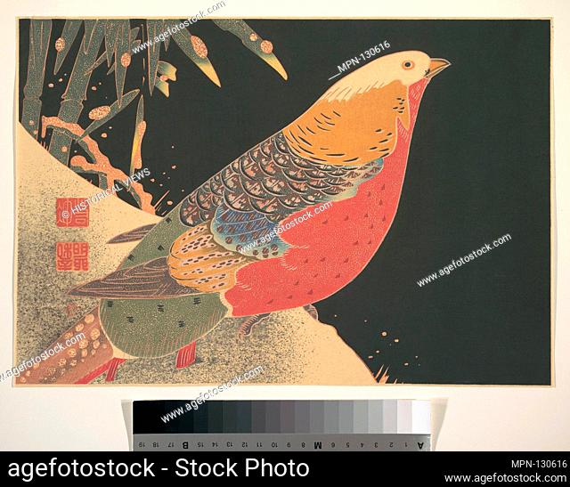 Golden Pheasant in the Snow. Artist: Ito Jakuchu (Japanese, 1716-1800); Period: Meiji period (1868-1912); Date: ca. 1900; Culture: Japan; Medium: Polychrome...