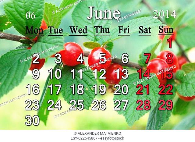 calendar for the June of 2014 with red berries of Prunus tomentosa