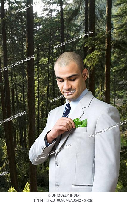 Businessman looking at a sapling in his pocket