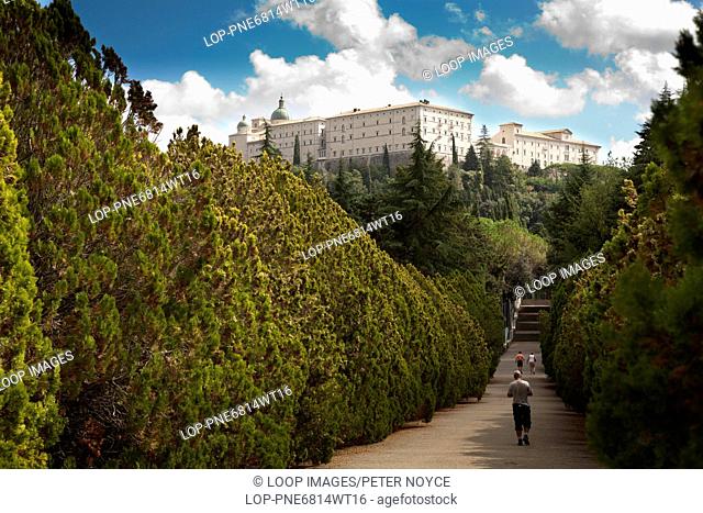 The tree lined path from the Polish Cemetery to Monte Cassino Abbey in Italy