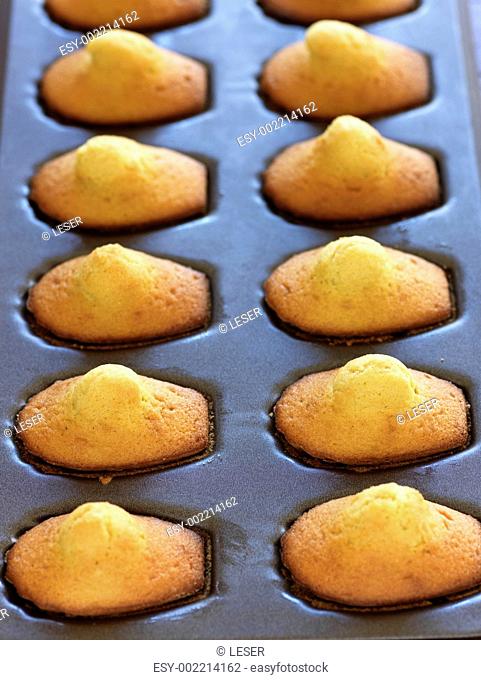 Madeleines in a tin mould