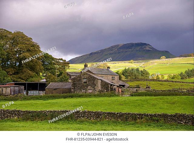 View of drystone walls, pasture and farmhouse, with Peny-y-ghent Hill in background, Horton, Ribblesdale, Yorkshire Dales N P , North Yorkshire, England